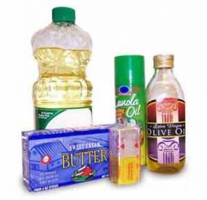 LAS GRASAS EN EL PERRO