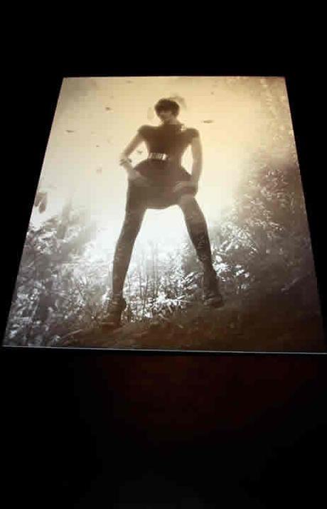 Guillermo de Zamacona Presentó Proyect :Monarch