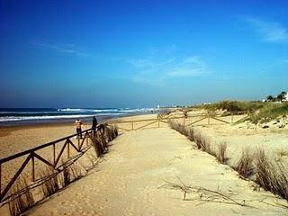 Más de 50.000 firmas para salvar la playa de El Palmar