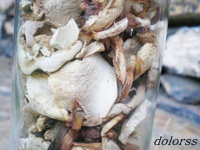 CEPS O BOLETUS EDULIS DESHIDRATADOS