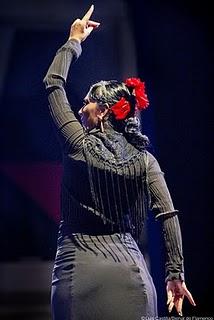 EL PROGRAMA FLAMENCO EN RED AMPLÍA SU OFERTA DE ACTIVIDADES PARA EL CURSO 2010/2011