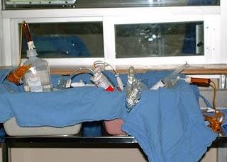 Trasplante de médula ósea, opción curativa para leucemias y anemia aplásica: IMSS