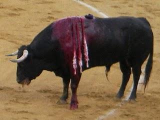 Otra vuelta con la burra al trigo