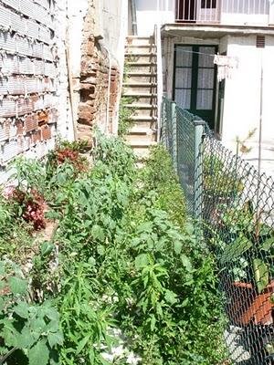 Mi jardín barcelonés