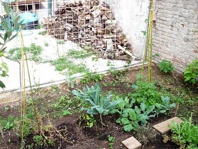 Mi jardín barcelonés