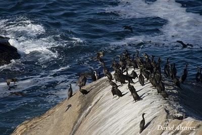 La otra cara de las Cíes