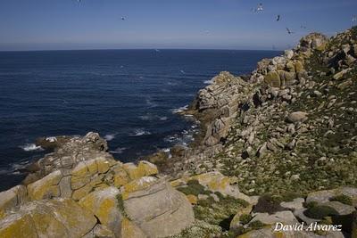La otra cara de las Cíes
