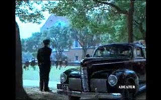 Vídeo de la semana: Un amor que dura siempre