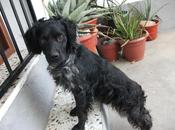 Otto, breton especial Cáceres