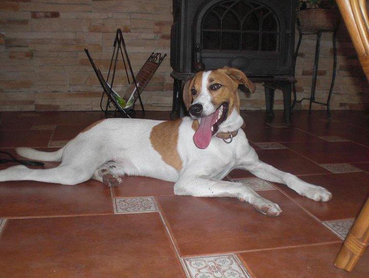 Bartolín , un bebe por la carretera