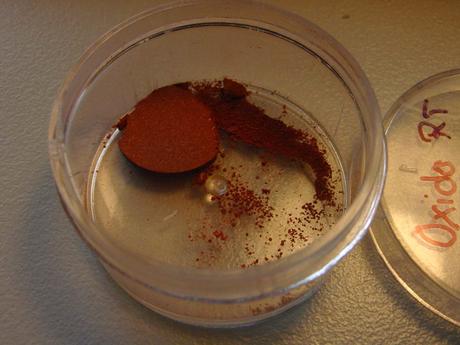 Una bacteria aislada en el río Tinto sobreviviría en Marte