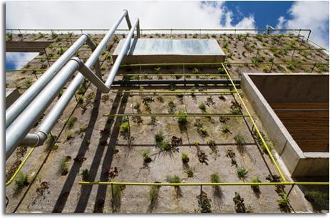 EDIFICIO QUE ASEMEJA A UN ORGANISMO VIVO