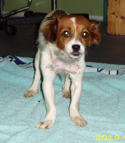 Novedades de Marlene :)