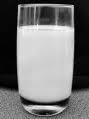 Investigaciones confirman que beber leche ayuda a perder peso