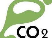 Trailer documental “Energías limpias manos negocios sucios”