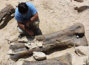 Descubierto en España el fémur de dinosaurio más grande de Europa