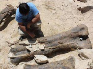 Descubierto en España el fémur de dinosaurio más grande de Europa