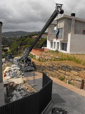 Trasplante de Palmeras y grandes Arboles