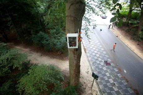 Talking Tree un árbol 2.0