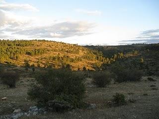 Peralejos de las Truchas en Fiestas