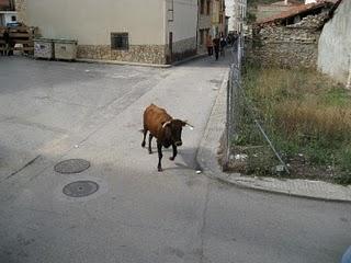 Peralejos de las Truchas en Fiestas