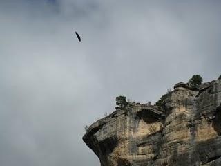Peralejos de las Truchas en Fiestas