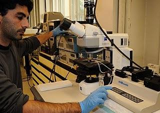 Investigan en España sobre un microchip para extraer las células tumorales