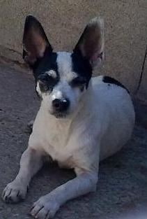 LA HISTORIA DE XENA, MUY TRISTE.