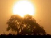 'Cuadernos Campo Doñana', tesoro científico disponible Internet