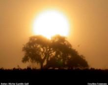 Los 'Cuadernos de Campo de Doñana', un tesoro científico disponible en Internet