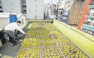 Buenos Aires tendrá jardines en las azoteas.