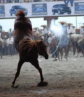 Viene Fiesta Grande del IX Circuito Excelencia Charra Ford 2010