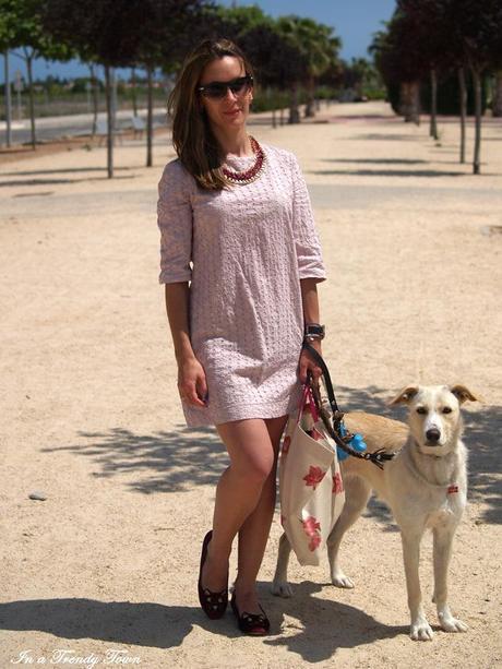 OUTFIT CATS AND DOGS