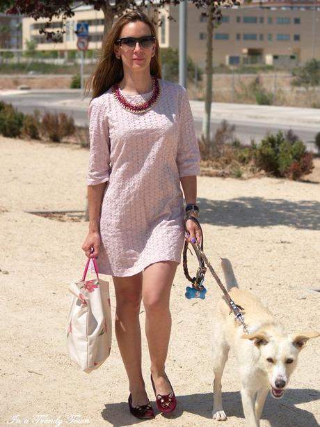 OUTFIT CATS AND DOGS