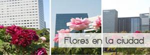 Wedeco: decora con flores