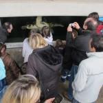 Fundación CRAM cram_7_centro_recuperacion_animales_marino_maritimo_2