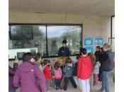 Fundación CRAM
