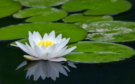 Dolor en el parto, parto midfulness