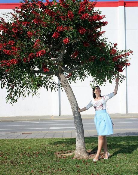 Baby Blue and Baby Pink Baby Blue and Baby Pink