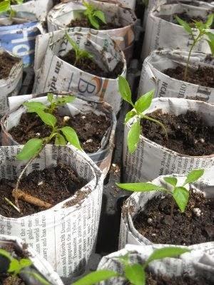 Miércoles de inspiración ♥ Periódico de hoy, decoración de mañana