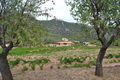 5a FIRA DE VINS DE TORRELLES DE LLOBREGAT: 7 y 8 de junio de 2014