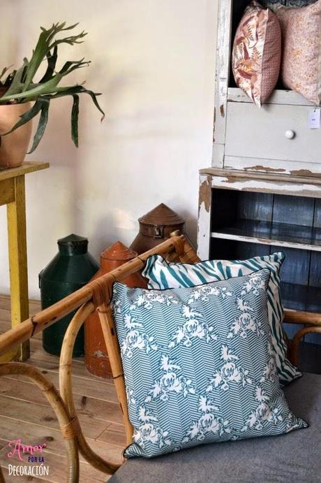 PRESENTACIÓN DÍAS DE VERANO VIDE-GRENIERS & OCOTT