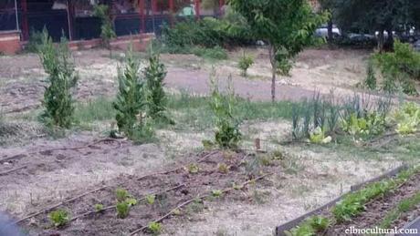 Actividades ecológicas y gratuitas esta primavera en El Retiro de Madrid Animate a crear tu propio huerto ecológico