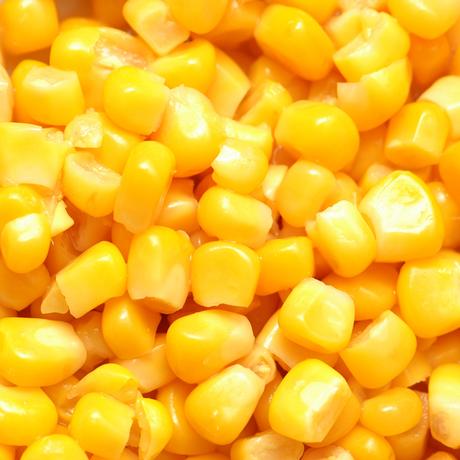 Recetas : Croquetas de Pavo y maiz