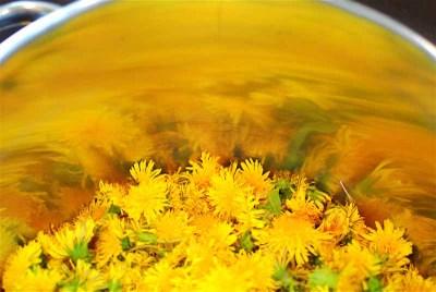 Tintes naturales para pintar camisetas