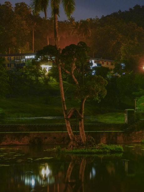 Una noche cualquiera en las terrazas. Foto: Javier Montenegro