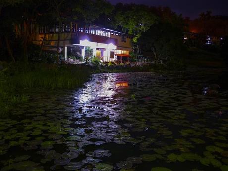 Una noche cualquiera en las terrazas. Foto: Javier Montenegro