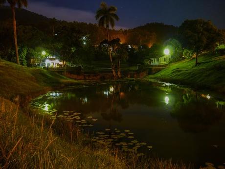 Una noche cualquiera en las terrazas. Foto: Javier Montenegro