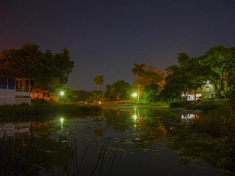 Una noche cualquiera en las terrazas. Foto: Javier Montenegro