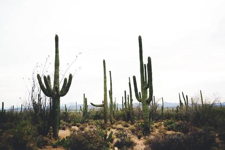 Saguaro-Open_Back_Dress-Desert-Arizona-Road_Trip-Braid-Hairdo-Outfit-Street_Style-31